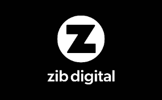 leading PPC agency in India - Zib Digital India